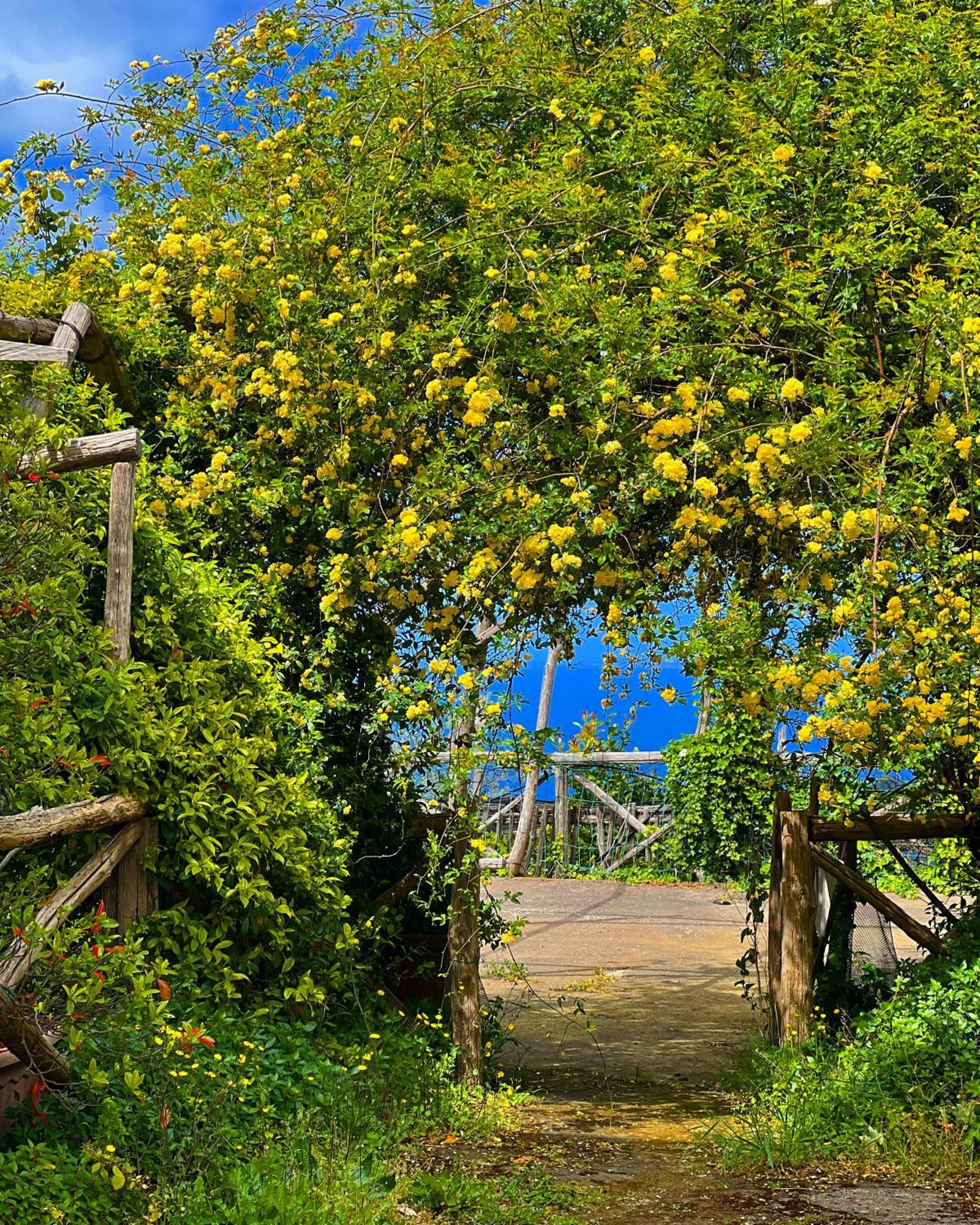 Agriturismo Le Grottelle SantʼAgata sui Due Golfi Exterior foto